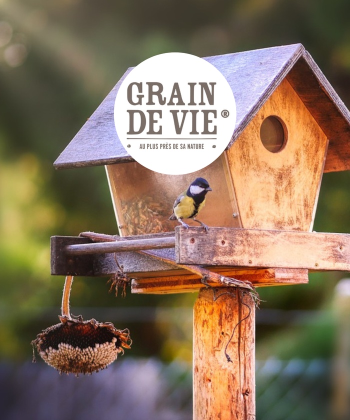 Nourriture et graine pour oiseaux du jardin Grain de vie