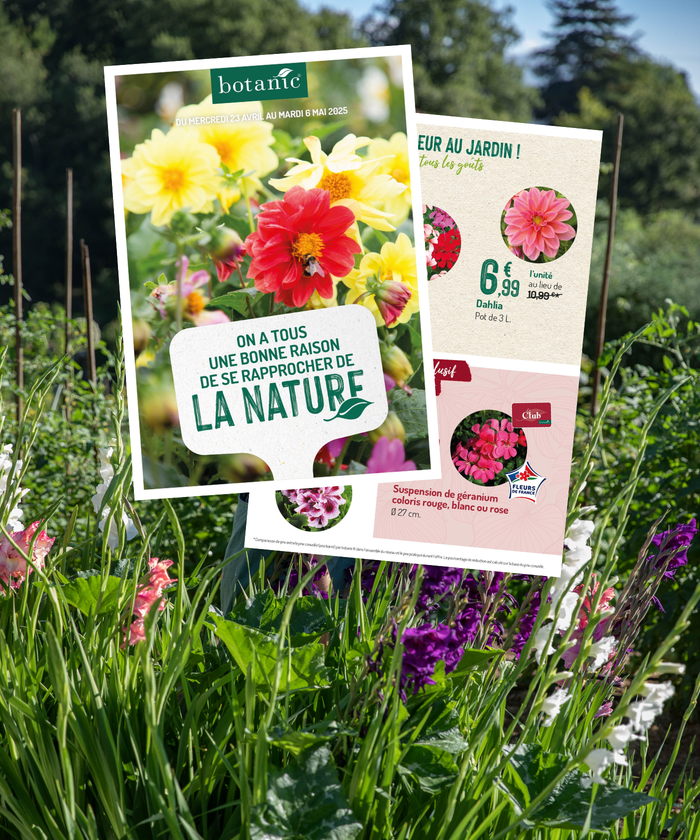 Brochure de l'op 16