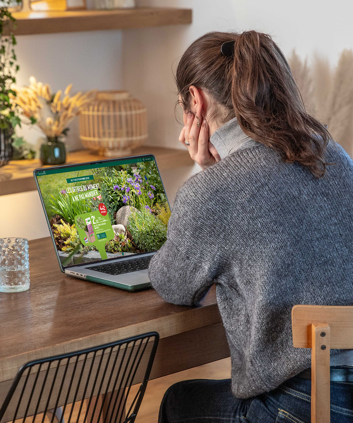 Une femme en train de consulter les promotions sur son ordinateur