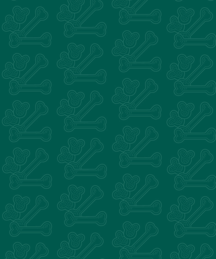 Fond croquettes et friandises pour animaux