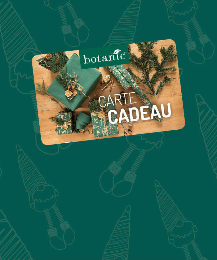Pictogramme carte cadeau botanic® pour Noël