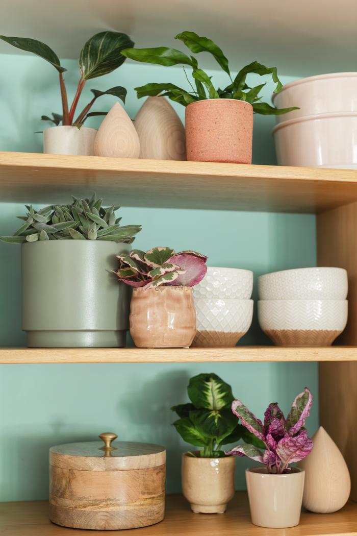 Une étagère remplie de vaisselle et de mini plantes vertes