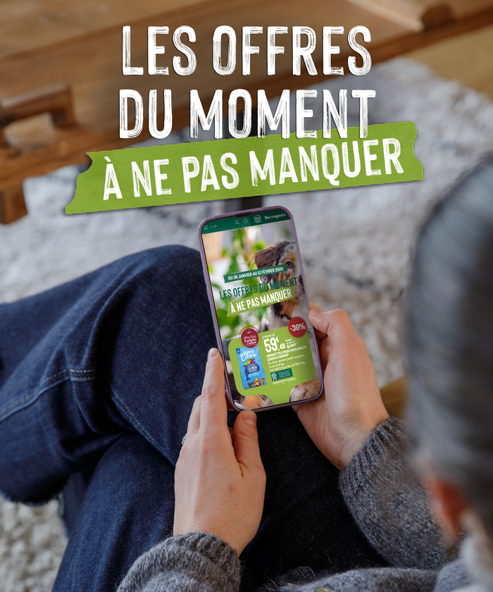 Une femme en train de consulter la brochure sur son smartphone
