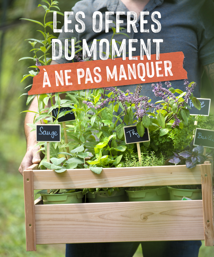 Un homme portant une cagette remplie d'aromatiques