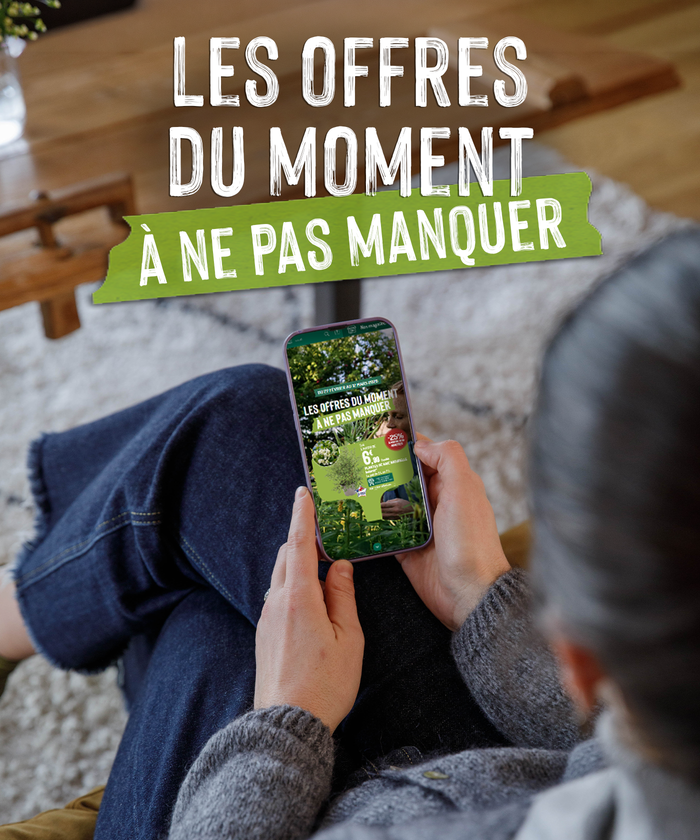 Une femme en train de consulter la brochure sur son smartphone