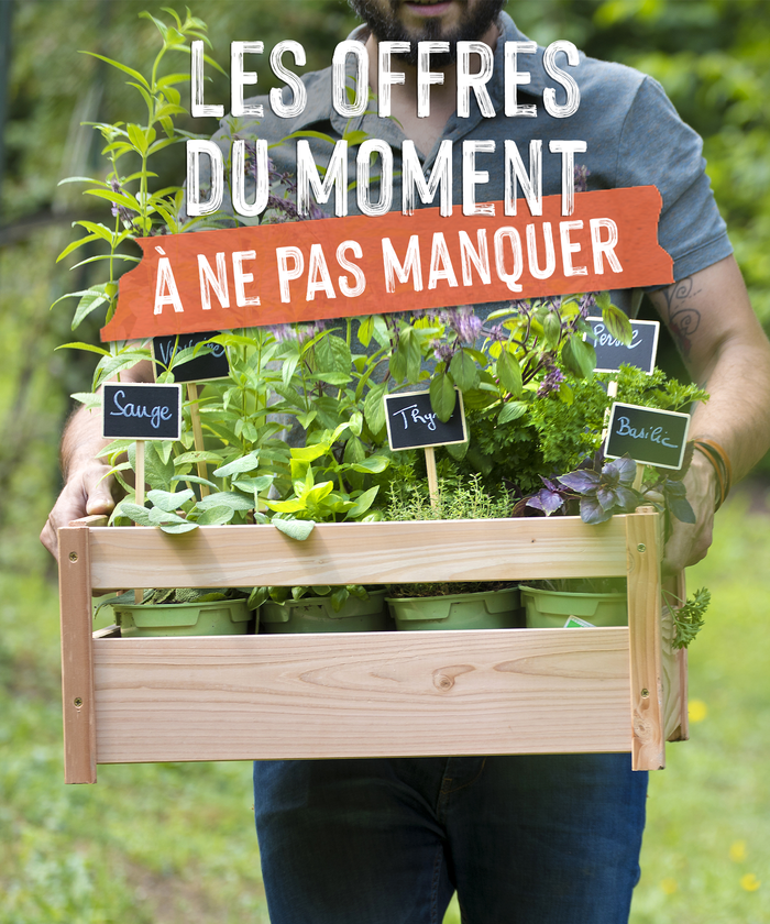 Une homme avec une cagette d'aromatiques dans son jardin