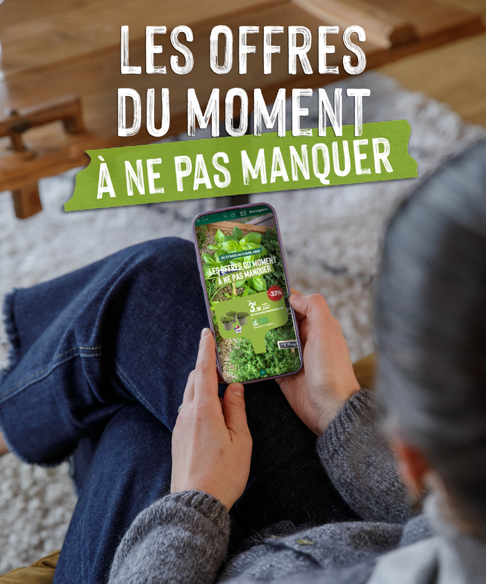 Une femme en train de consulter une brochure sur son smartphone