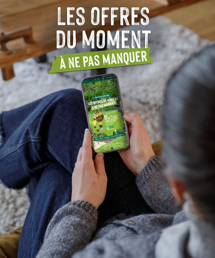 Une femme en train de consulter la brochure sur son mobile