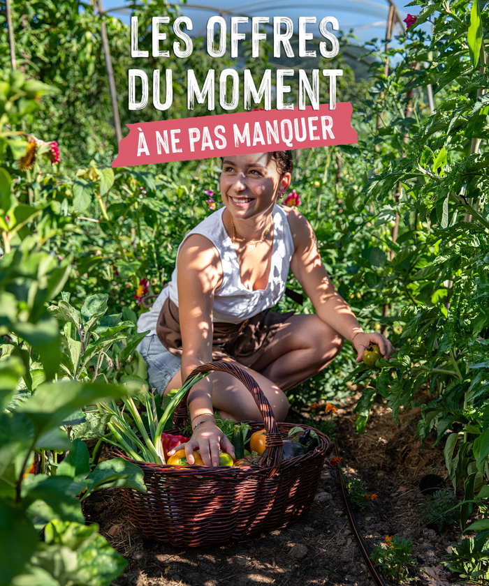 Une jeune femme en train de récolter des légumes dans un potager