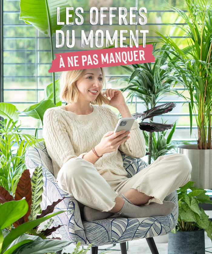 Une femme en train de consulter les promotions sur son mobile