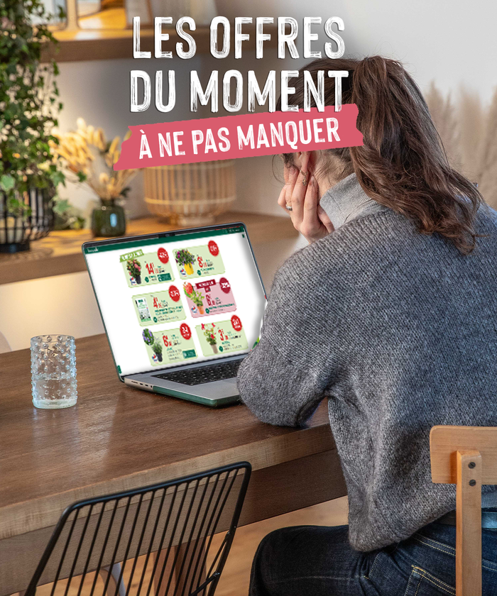 Une femme en train de consulter une brochure sur son ordinateur