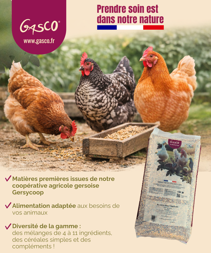 Visuel mobile tête de gondôle page de marque Gasco