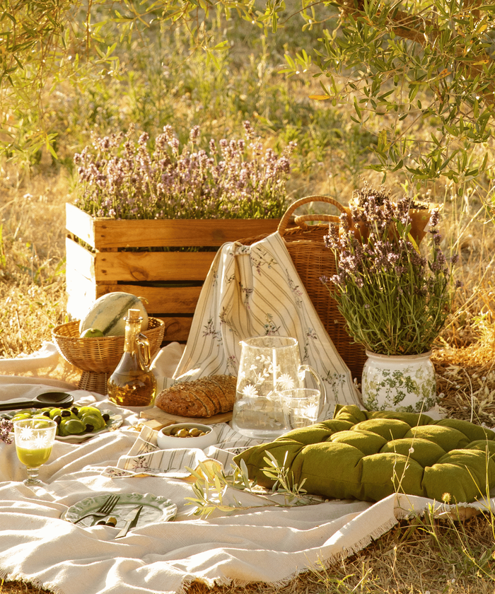 Pique-nique dans la nature sous un arbre avec une nappe