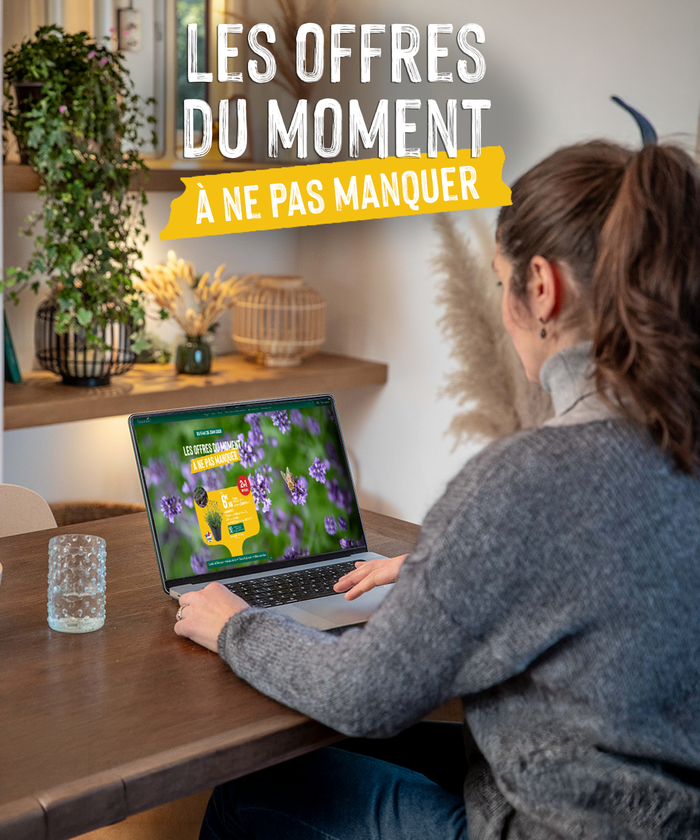 Une femme en train de consulter les promotions sur son ordinateur