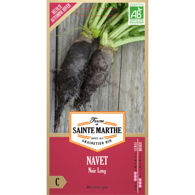 Graines De Navet San Cosme - Légumes Racines Blancs Ronds - Feuilles Tendres Pour Salades Et Soupes