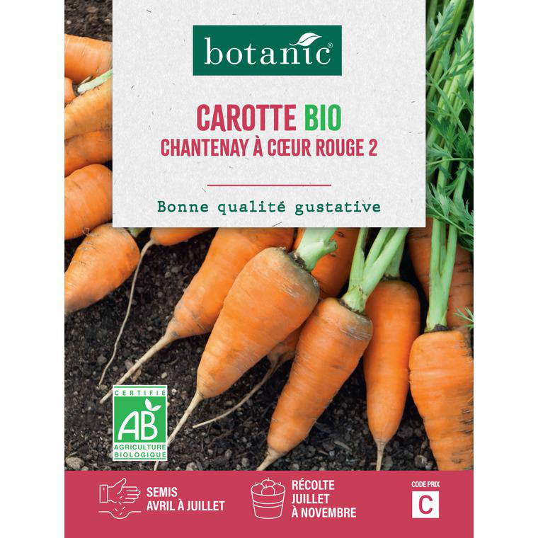 Graines De Carotte Chantenay à Cœur Rouge - Sachet De 500 Graines, Pour Potager, Goût Sucré - 8