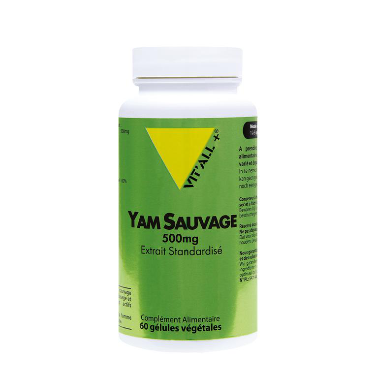 Complément Wild Yam (Igname Sauvage) 500mg - 60 Capsules Vita World, Origine Allemagne, Neuf