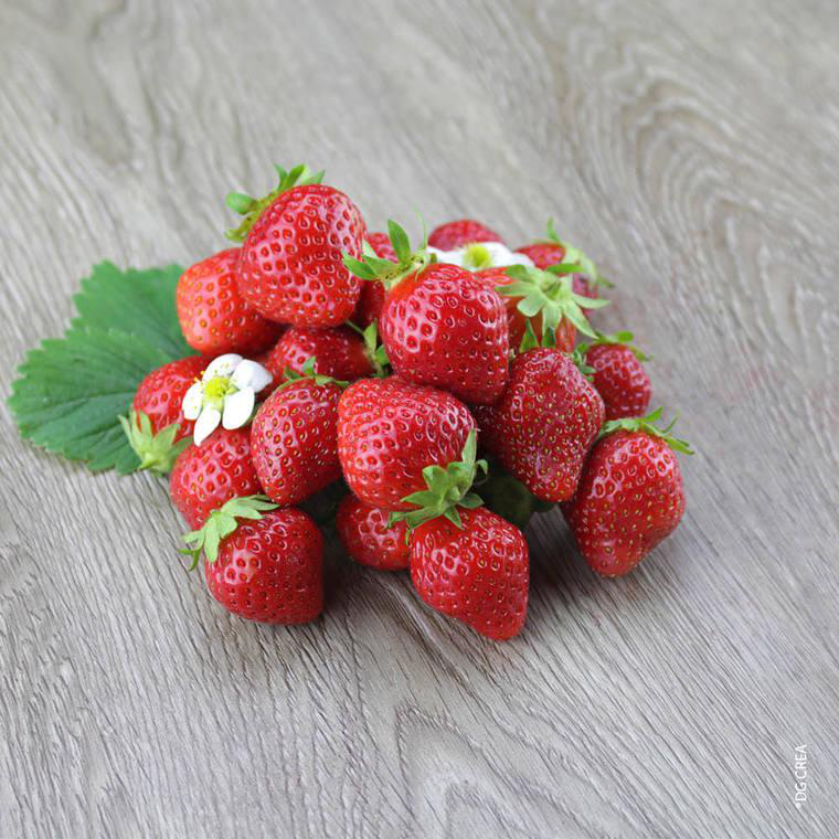 Détail d'un produit