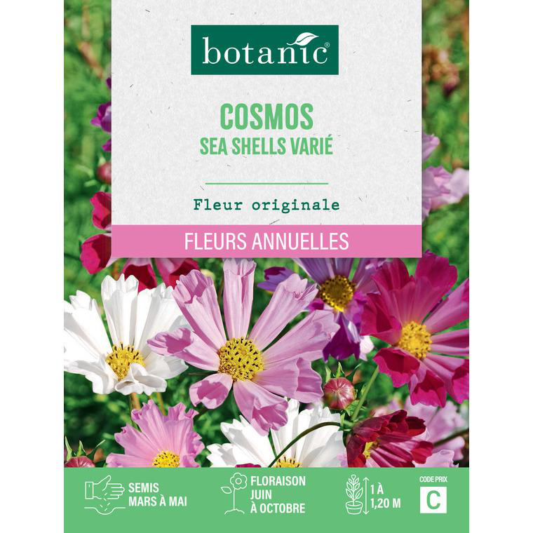 50 Graines De Cosmos Bipenné 'Sea Shells' - Fleurs En Forme De Coquillages, Roses, Blanches, Carmin