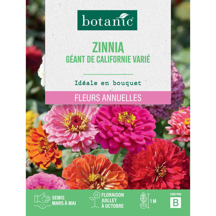 Graines De Fleurs Parfumées En Mélange à Semer| Graines Bocquet