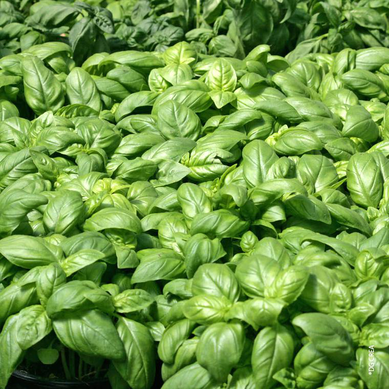 Détail d'un produit