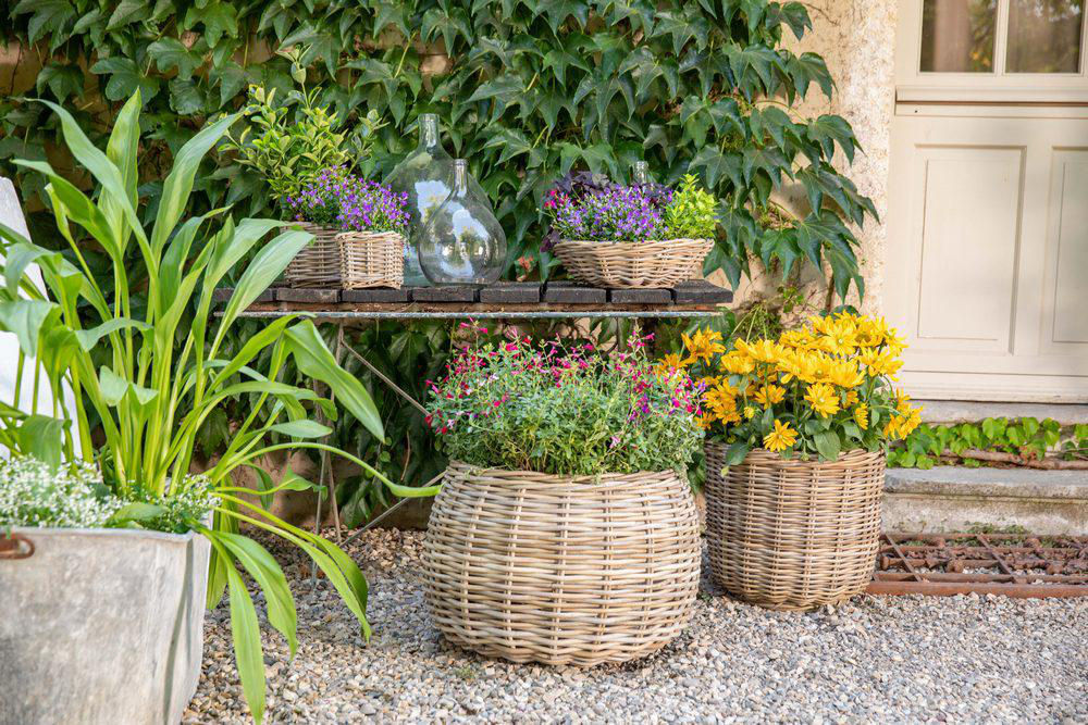 PANIER À POMMES de Terre Vieux Métallique Plantation Pot