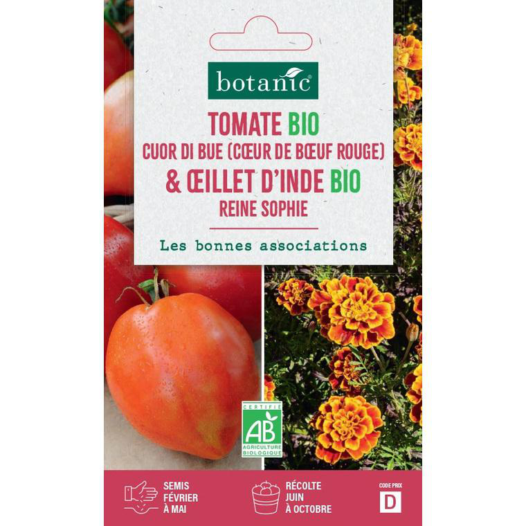 400 Pièces Graines De Jonquille Multicolores - Fleurs à Semer Pour Jardin Et Pots