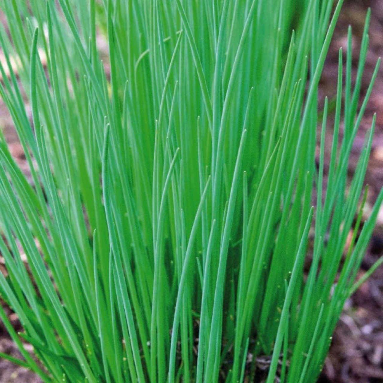 Détail d'un produit