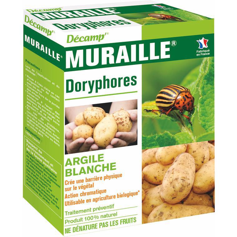 Traiter Contre Les Doryphores