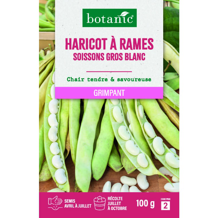 Graines Bio De Haricots à Rames 'Helda' - Batlle (28-70 Graines), Pour Potager, Cosse Plate Verte, Graines Blanches - 9
