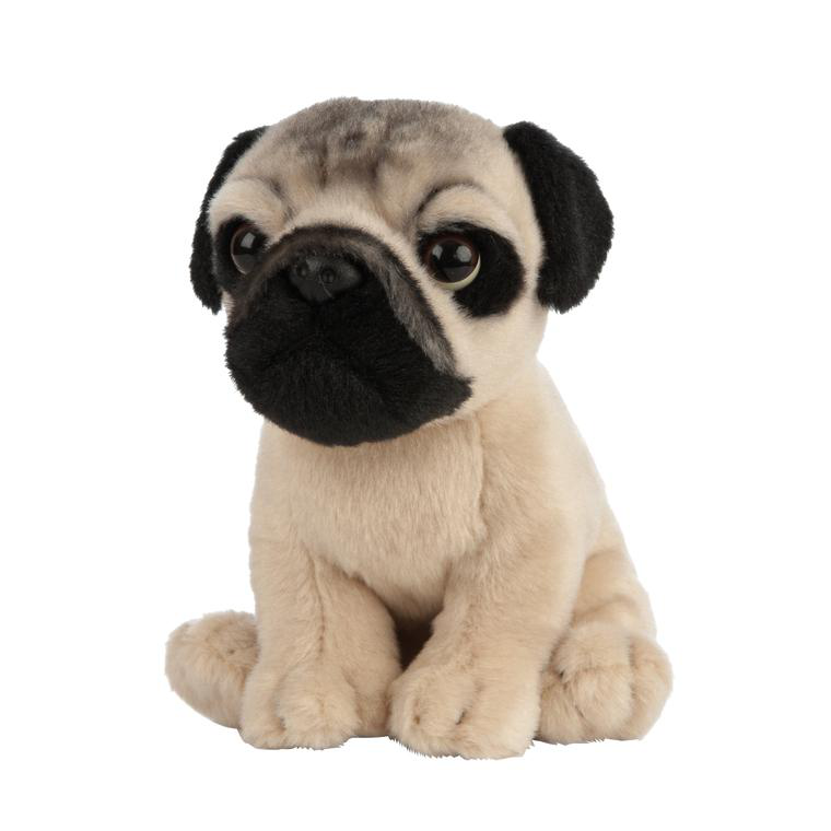 Peluche chien carlin clearance