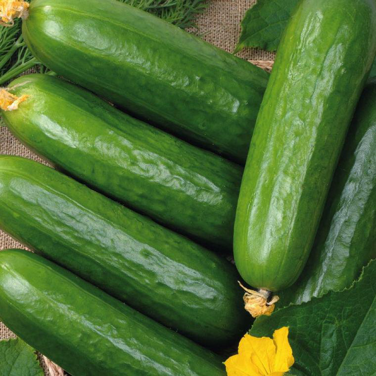 Détail d'un produit