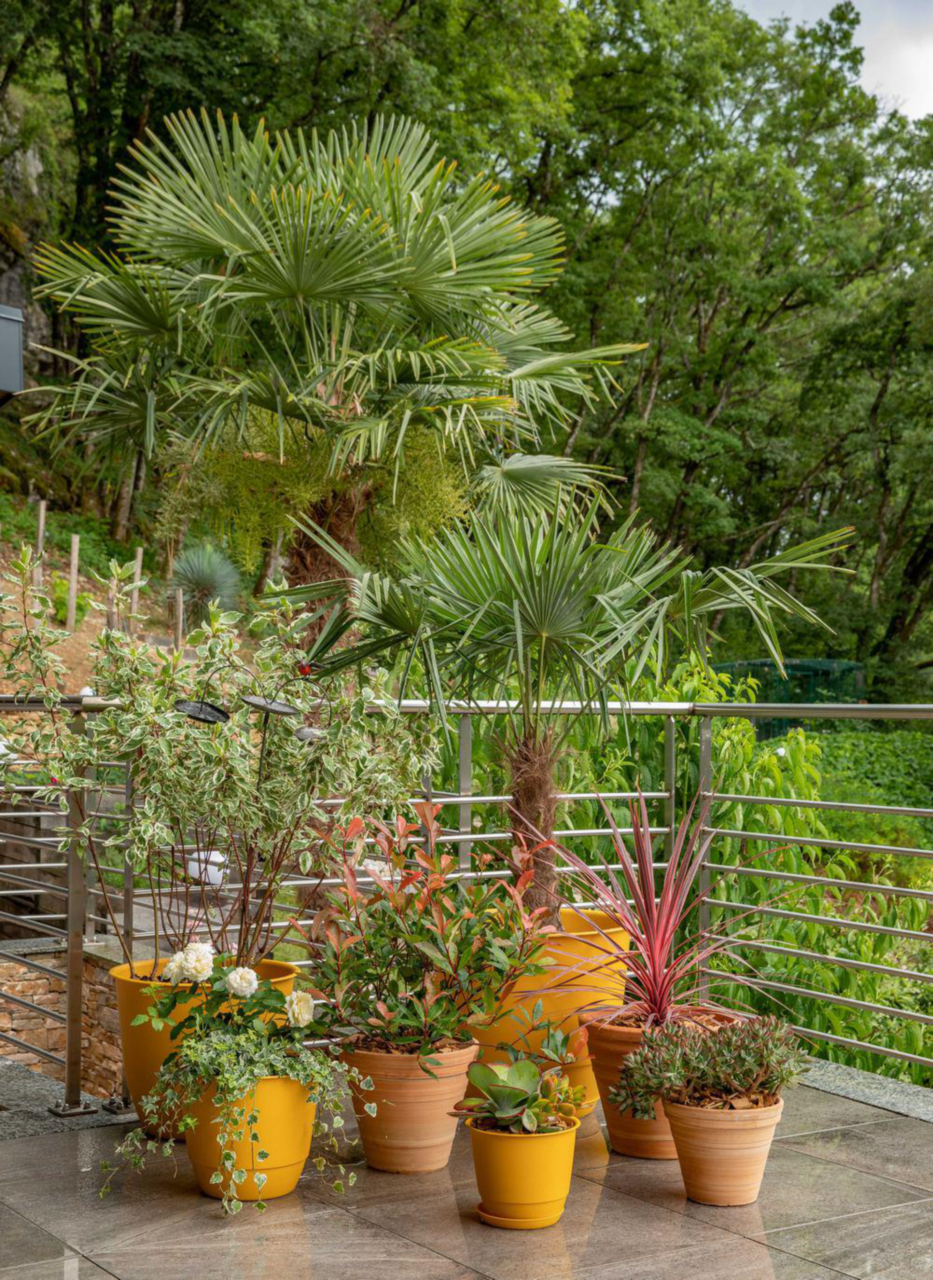 Soucoupe De Pot De Fleurs Ronde 18 Cm De Diamètre Noir - Pots De Fleurs En Plastique Pot De