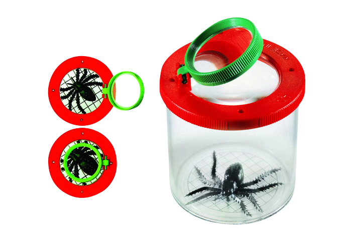 La meilleure boîte à insectes du monde Keycraft - 7 cm | botanic®