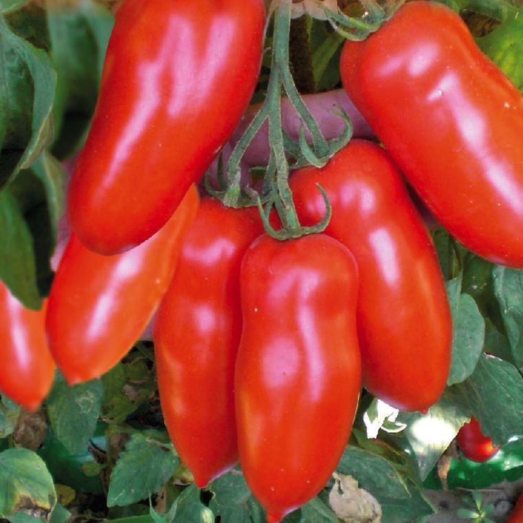 Détail d'un produit