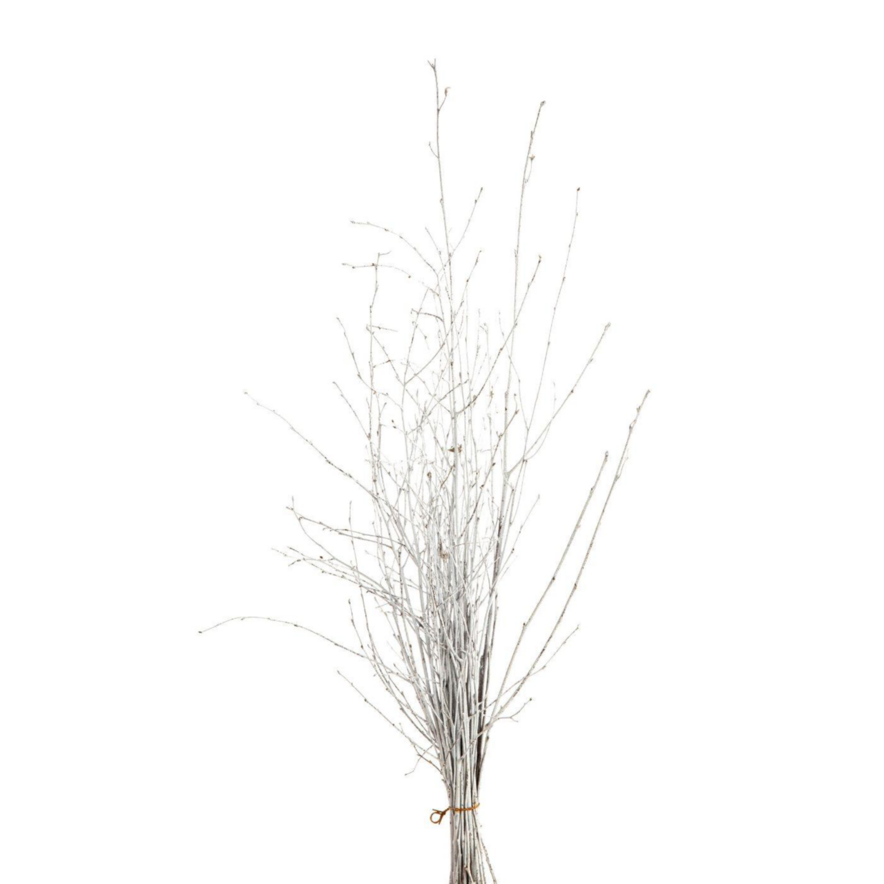 100 étoiles En écorce De Bouleau – Environ 4 Cm – Décoration De Noël, Table Ou Loisirs Créatifs – Naturel