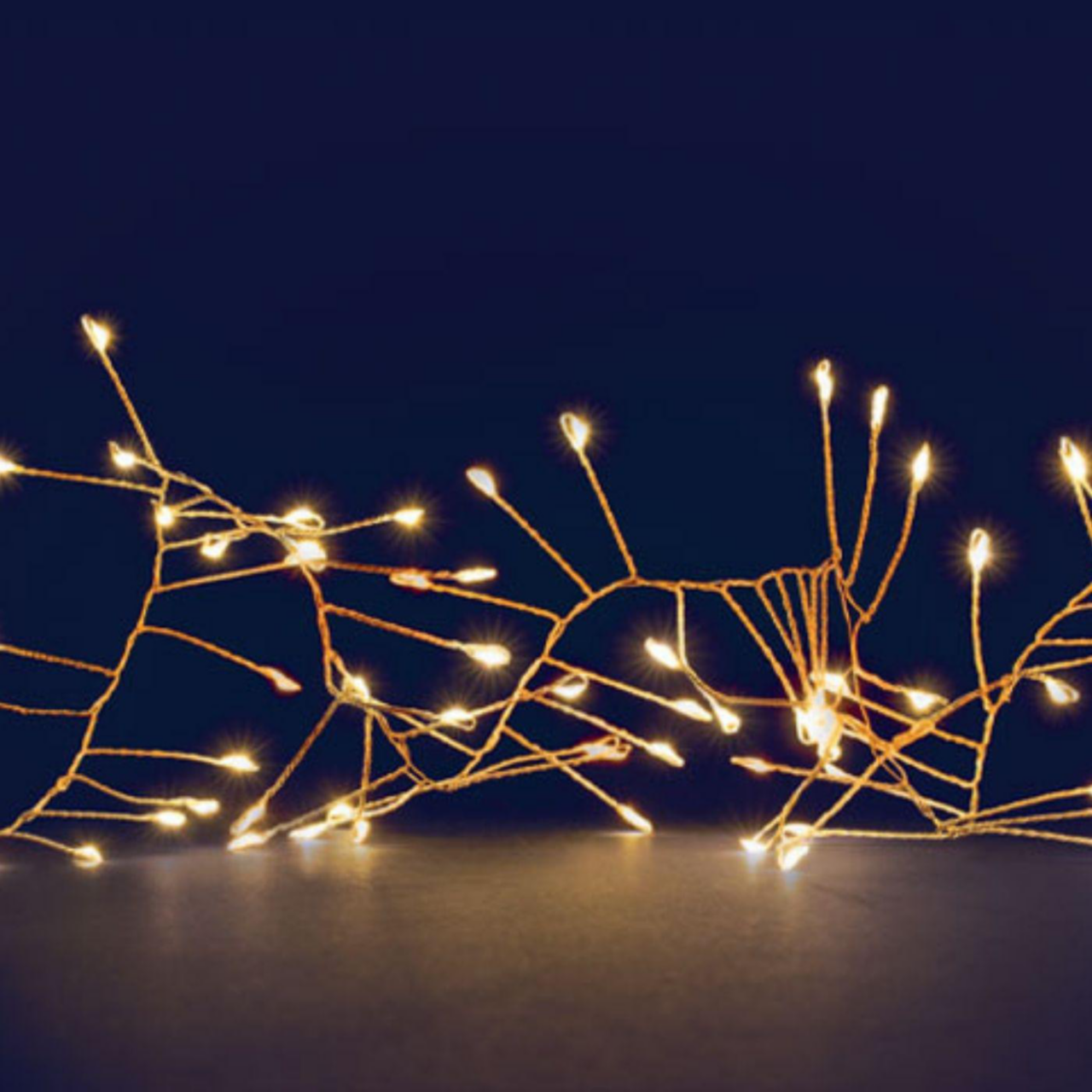 Guirlande Lumineuse LED Festilight Bleue Fixe - Pour Intérieur Et Extérieur, Sur Secteur, Occasion