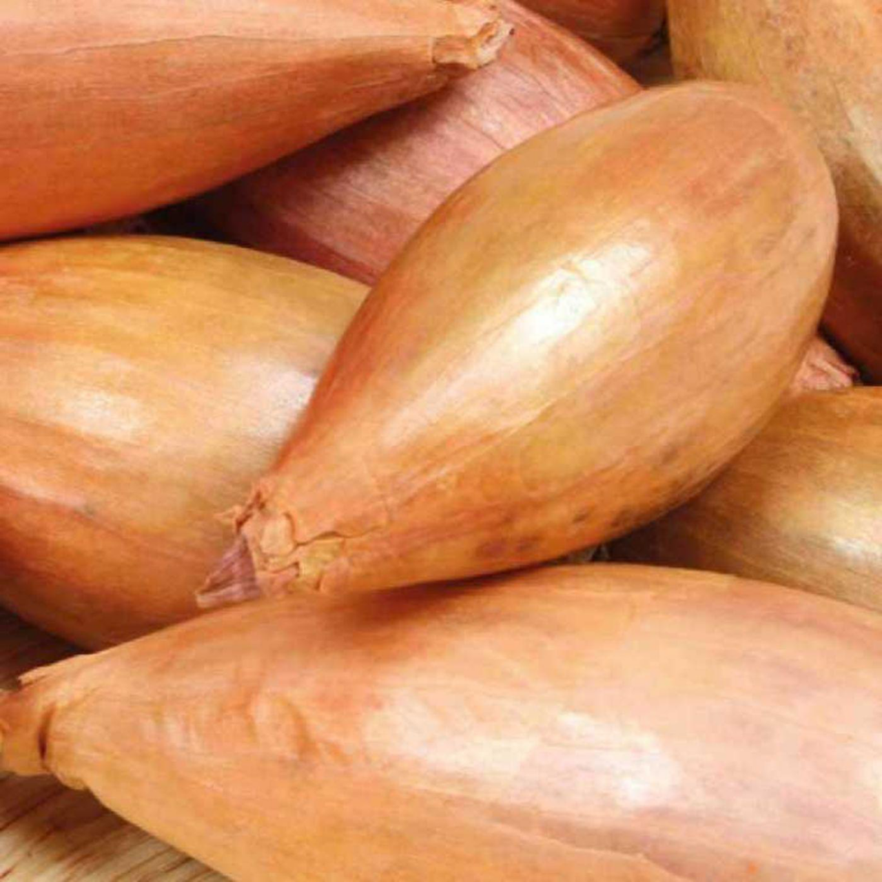 Détail d'un produit