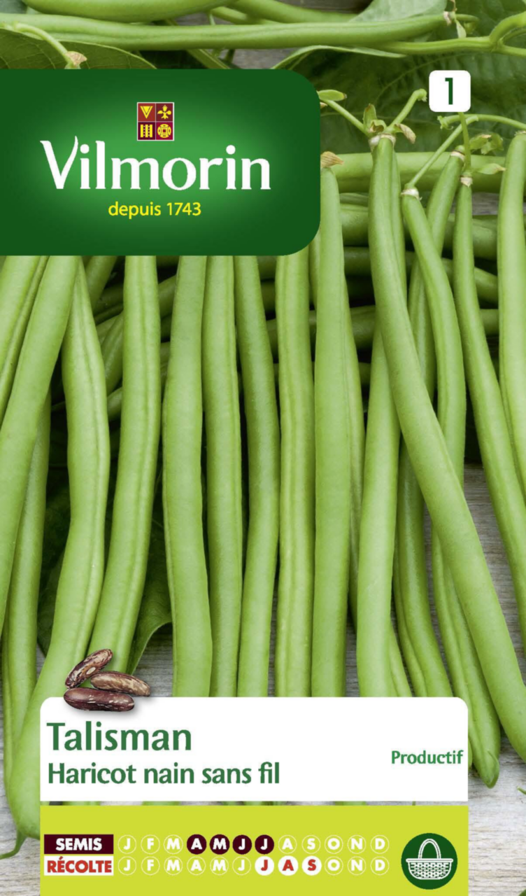 Les Meilleurs Haricots Verts Sans Fils