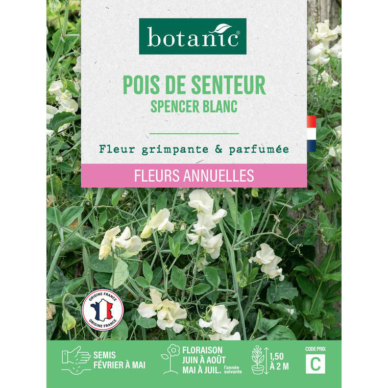 Graines de fleurs de Pois de senteur spencer blanc botanic® botanic® — free download