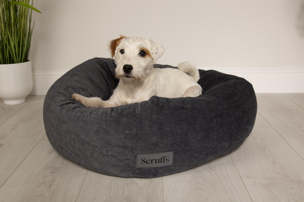 Scruffs Oslo Ringbett (M) – Steingrau, 55 Cm, Samtweich, Mit Recycelter Füllung, Waschbar, Für Hunde