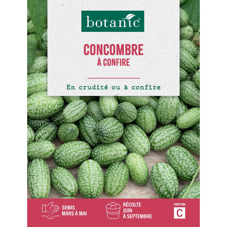 Graines de concombre à confire botanic® - graines à semer | botanic®