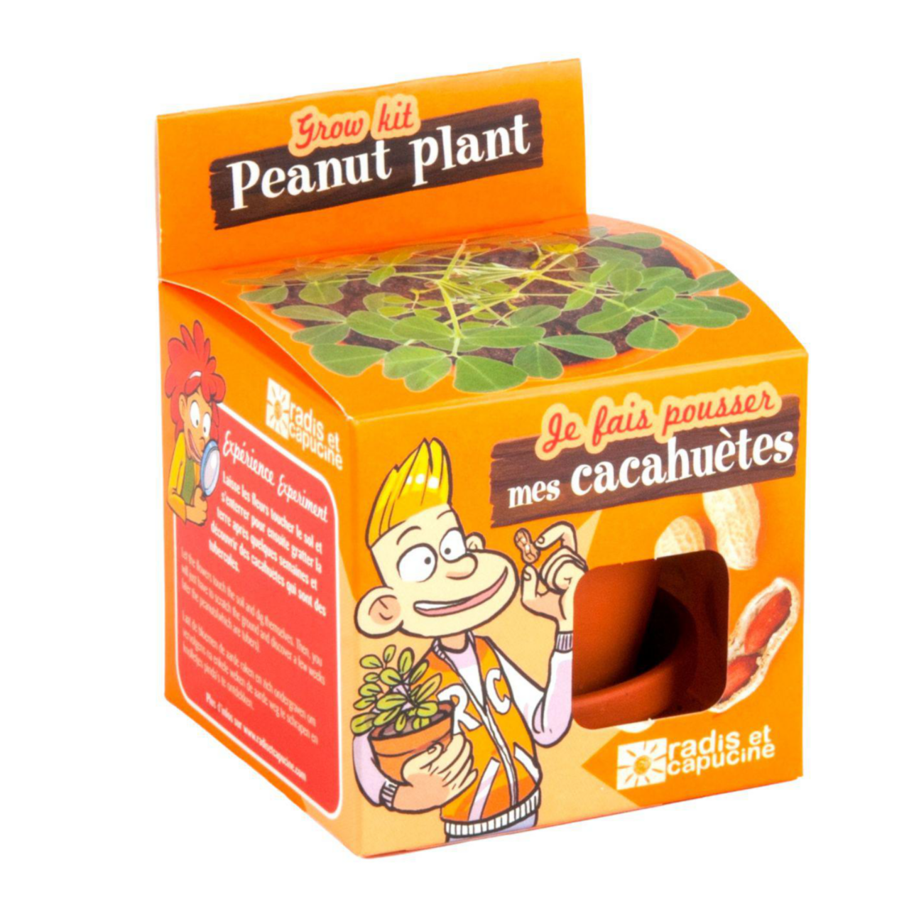 kit-graines-de-cacahu-tes-avec-pot-et-coupelle-terre-cuite-8-cm