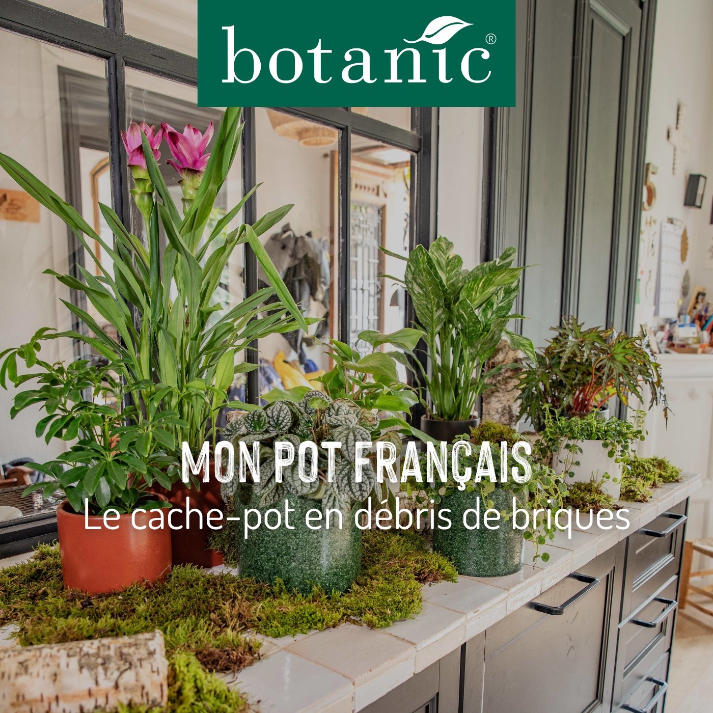 RNSUNH Lot De 6 Soucoupes De Plantes Ondulées 25,4 Cm Durable Plateau