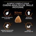 Visuel 7 sur 10