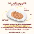 Visuel 3 sur 4