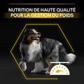 Visuel 7 sur 8