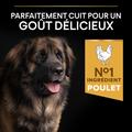 Visuel 4 sur 10