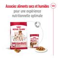 Visuel 5 sur 9