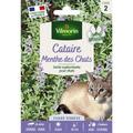 Visuel 1 sur 3